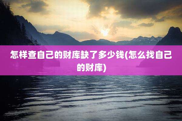 怎样查自己的财库缺了多少钱(怎么找自己的财库)