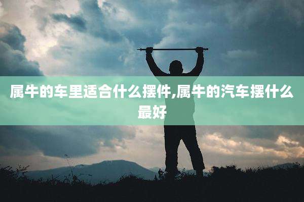 属牛的车里适合什么摆件,属牛的汽车摆什么最好