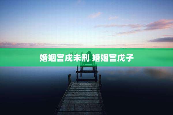 婚姻宫戌未刑 婚姻宫戊子