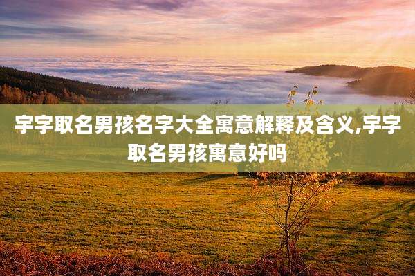 宇字取名男孩名字大全寓意解释及含义,宇字取名男孩寓意好吗
