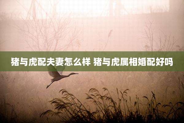 猪与虎配夫妻怎么样 猪与虎属相婚配好吗