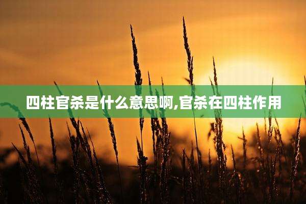 四柱官杀是什么意思啊,官杀在四柱作用