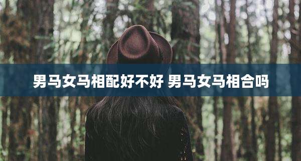男马女马相配好不好 男马女马相合吗