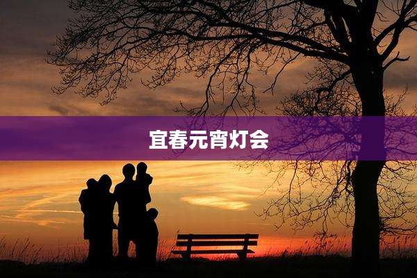 宜春元宵灯会