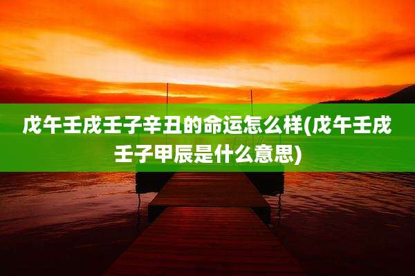 戊午壬戌壬子辛丑的命运怎么样(戊午壬戌壬子甲辰是什么意思)