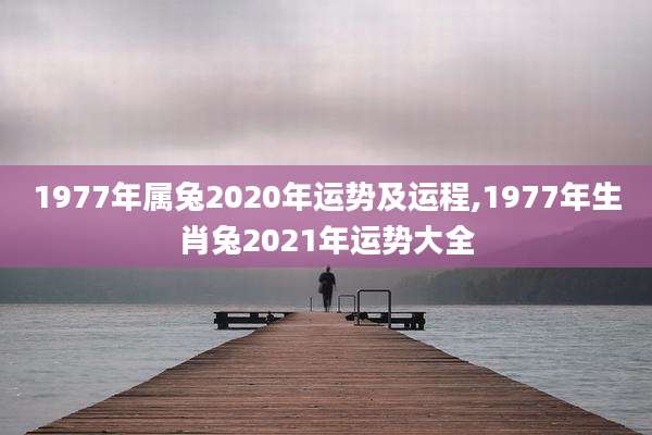 1977年属兔2020年运势及运程,1977年生肖兔2021年运势大全