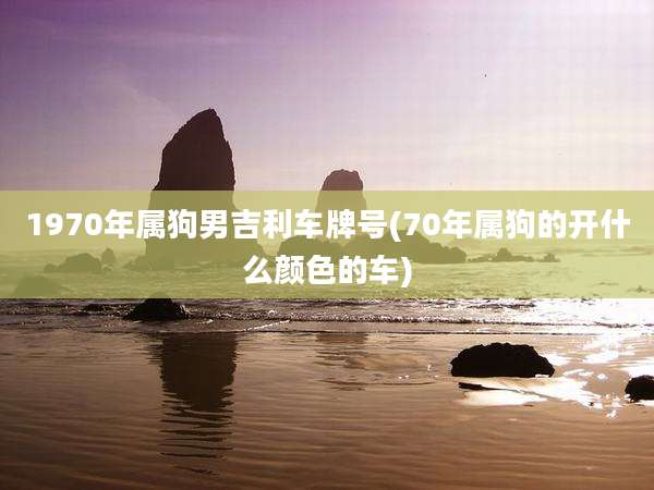 1970年属狗男吉利车牌号(70年属狗的开什么颜色的车)
