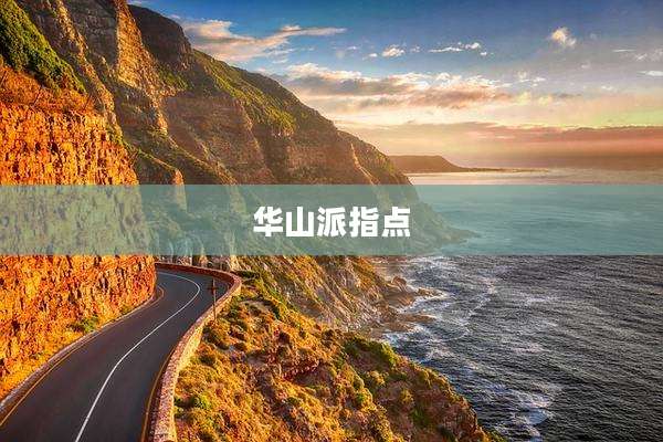 华山派指点