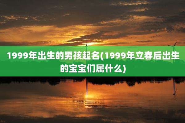 1999年出生的男孩起名(1999年立春后出生的宝宝们属什么)