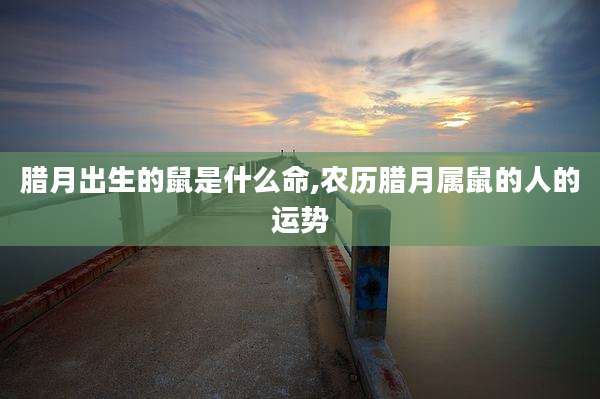 腊月出生的鼠是什么命,农历腊月属鼠的人的运势