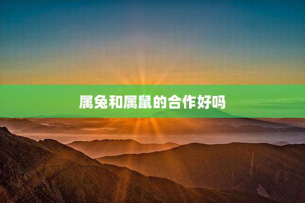 属兔和属鼠的合作好吗