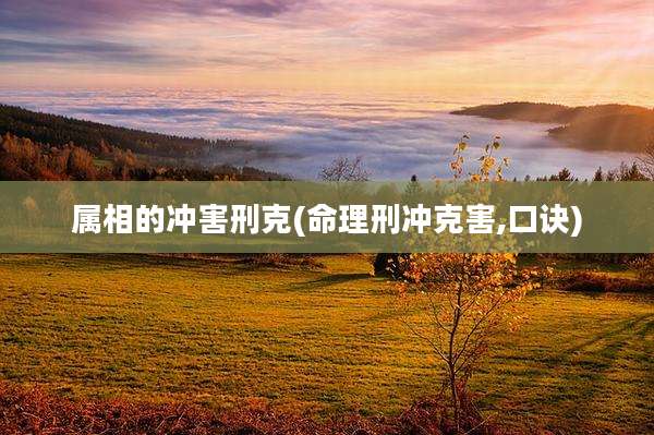 属相的冲害刑克(命理刑冲克害,口诀)