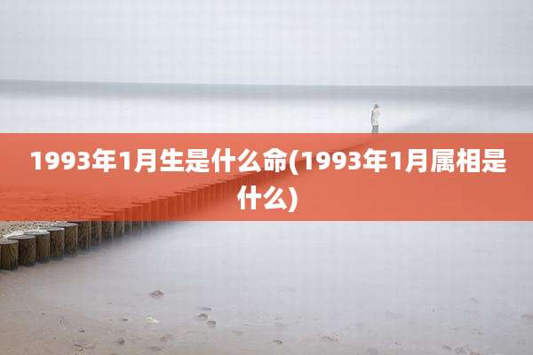 1993年1月生是什么命(1993年1月属相是什么)