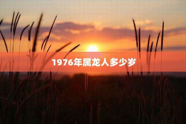 1976年属龙人多少岁