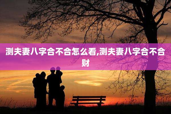 测夫妻八字合不合怎么看,测夫妻八字合不合财