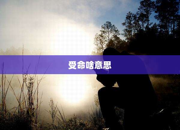 受命啥意思