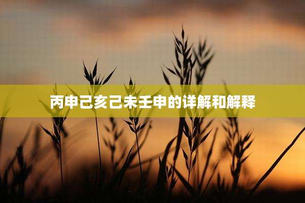 丙申己亥己未壬申的详解和解释