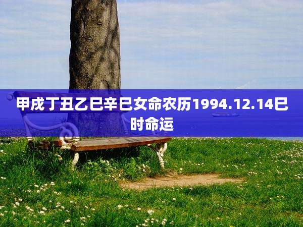 甲戌丁丑乙巳辛巳女命农历1994.12.14巳时命运