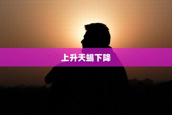 上升天蝎下降