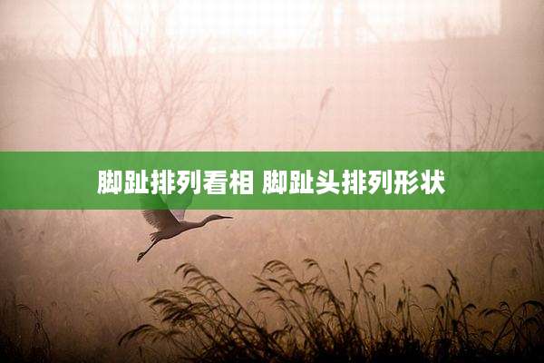 脚趾排列看相 脚趾头排列形状