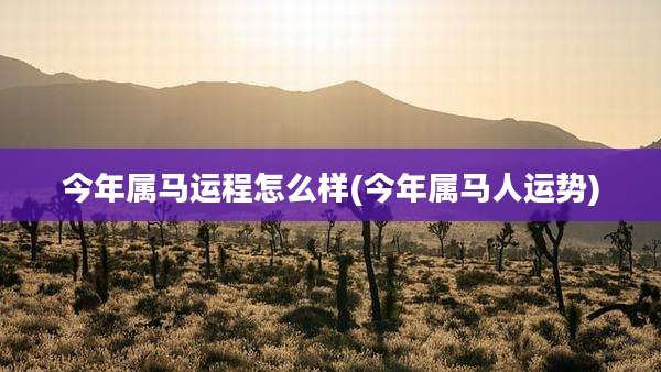今年属马运程怎么样(今年属马人运势)