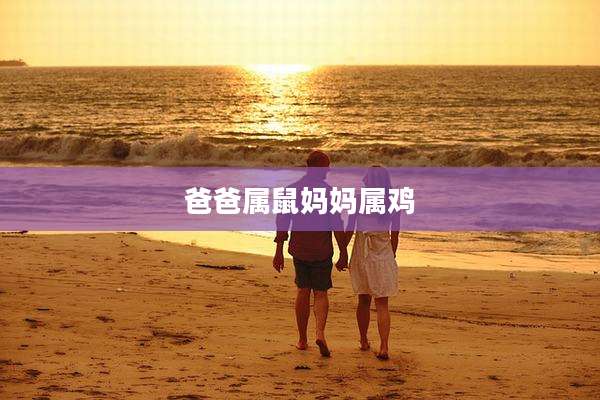 爸爸属鼠妈妈属鸡