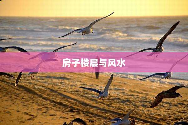 房子楼层与风水