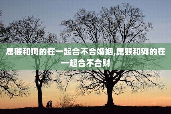 属猴和狗的在一起合不合婚姻,属猴和狗的在一起合不合财