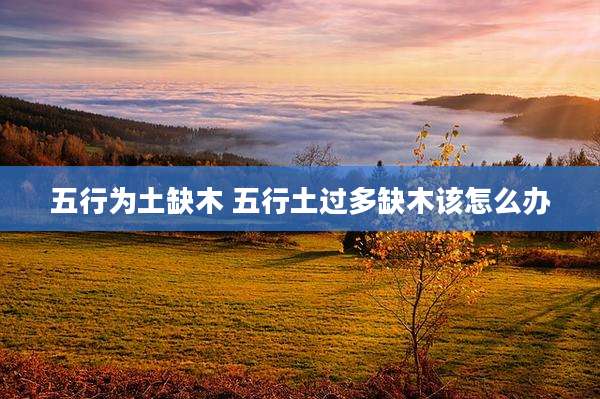 五行为土缺木 五行土过多缺木该怎么办