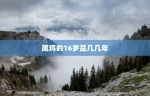 属鸡的16岁是几几年