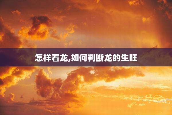 怎样看龙,如何判断龙的生旺
