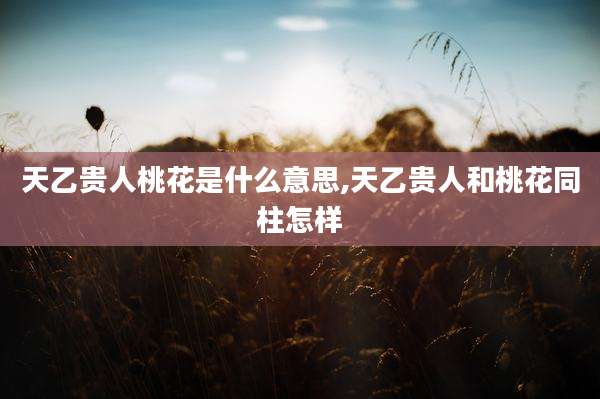 天乙贵人桃花是什么意思,天乙贵人和桃花同柱怎样