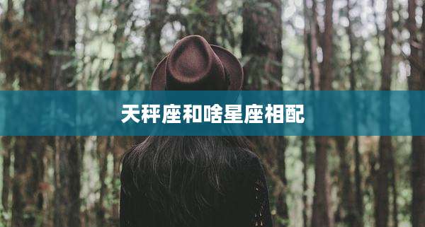 天秤座和啥星座相配