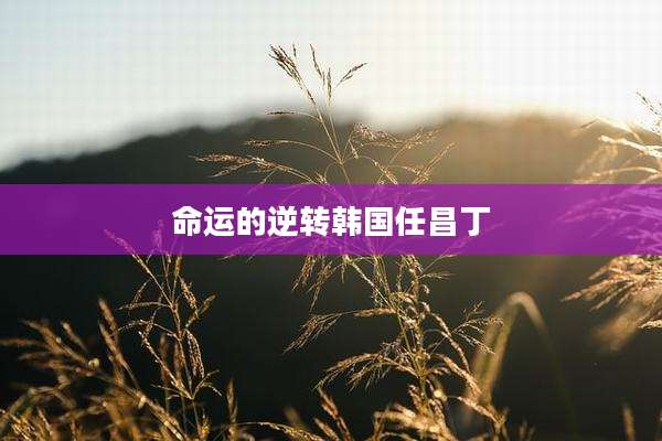 命运的逆转韩国任昌丁