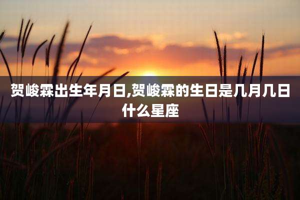 贺峻霖出生年月日,贺峻霖的生日是几月几日什么星座