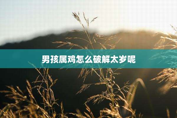 男孩属鸡怎么破解太岁呢