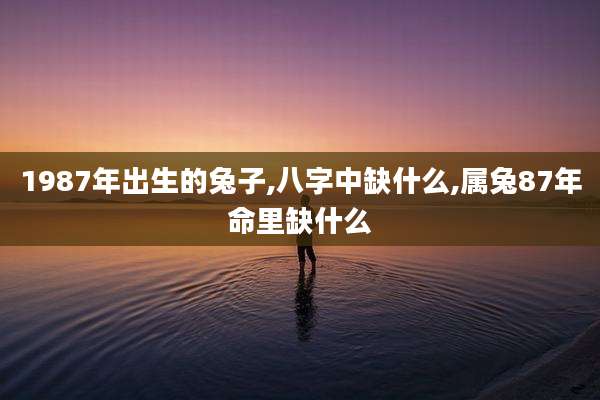 1987年出生的兔子,八字中缺什么,属兔87年命里缺什么