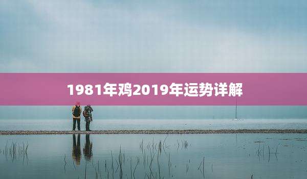 1981年鸡2019年运势详解