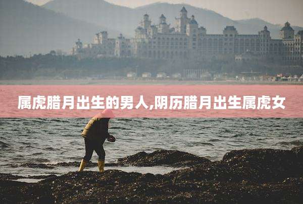 属虎腊月出生的男人,阴历腊月出生属虎女