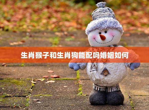 生肖猴子和生肖狗能配吗婚姻如何