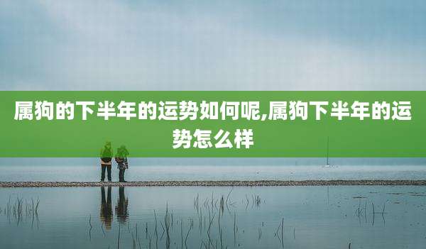 属狗的下半年的运势如何呢,属狗下半年的运势怎么样