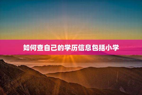 如何查自己的学历信息包括小学