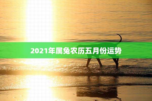2021年属兔农历五月份运势