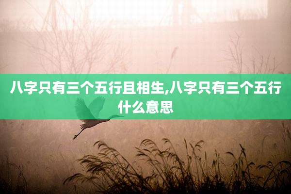八字只有三个五行且相生,八字只有三个五行什么意思
