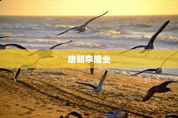 唐朝李隆业