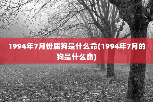1994年7月份属狗是什么命(1994年7月的狗是什么命)