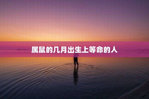 属鼠的几月出生上等命的人