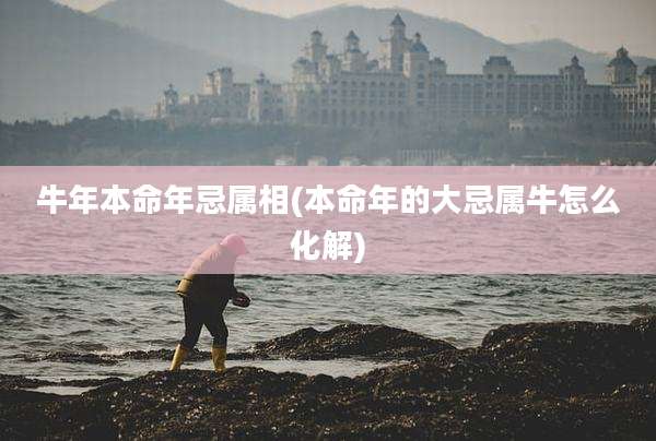 牛年本命年忌属相(本命年的大忌属牛怎么化解)
