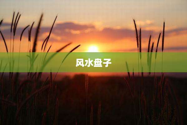 风水盘子