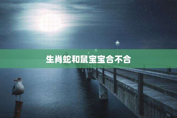 生肖蛇和鼠宝宝合不合